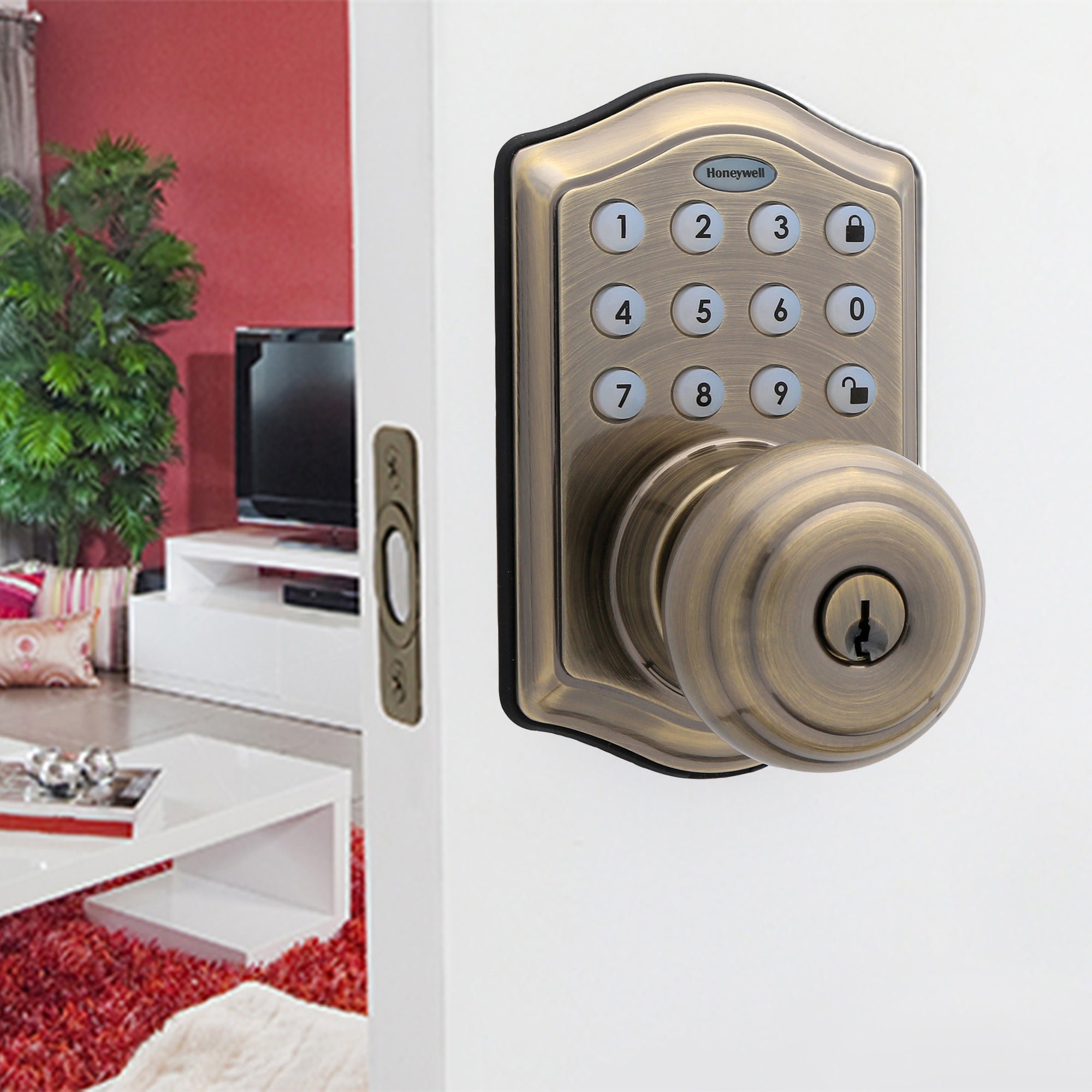 Electronic Door Locks