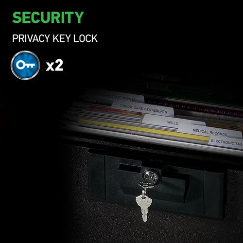 Sentry 1170 Fire Safe Security File