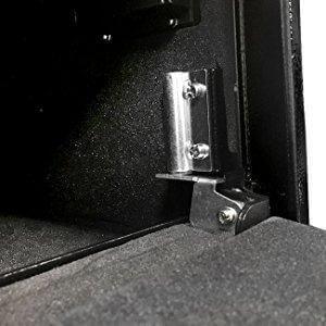 Stealth Biometric Handgun Hanger Safe Hinge