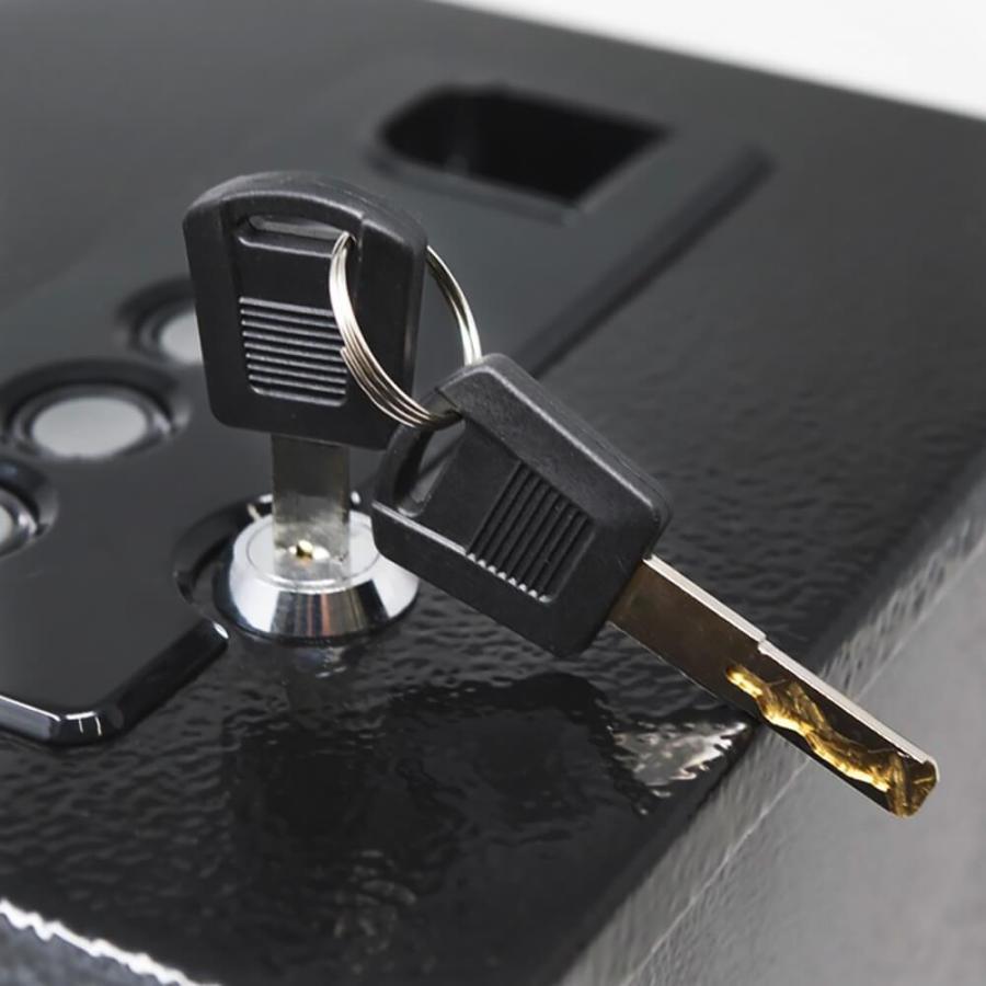 Stealth Biometric Handgun Hanger Safe Backup Keys